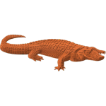 An Alligator