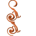 drp1