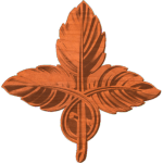 Leaf_TrioJW67x68