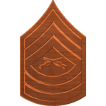 Master Sergeant E8 Rank