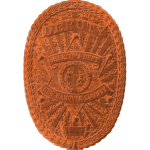 Deputy Sheriff Star Badge