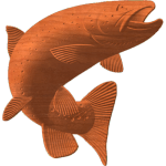 BROWN TROUT