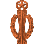 Master Missile Ops Badge