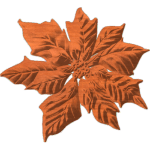 Poinsettia5x56 1