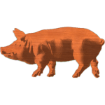 Pig_2x4_2