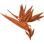 BIRD OF PARADISE