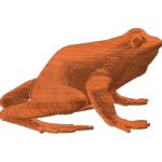 Frog02