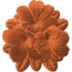 AZALEAS