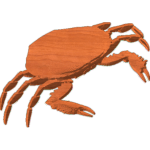 Beach Critter