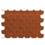 SHINGLES 02