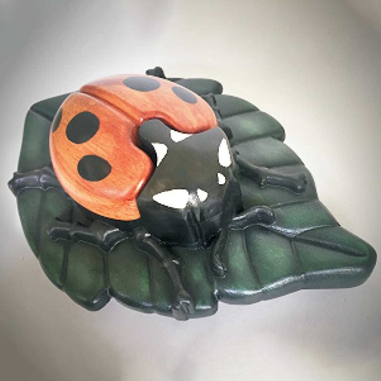 Ladybug Treasure Box
