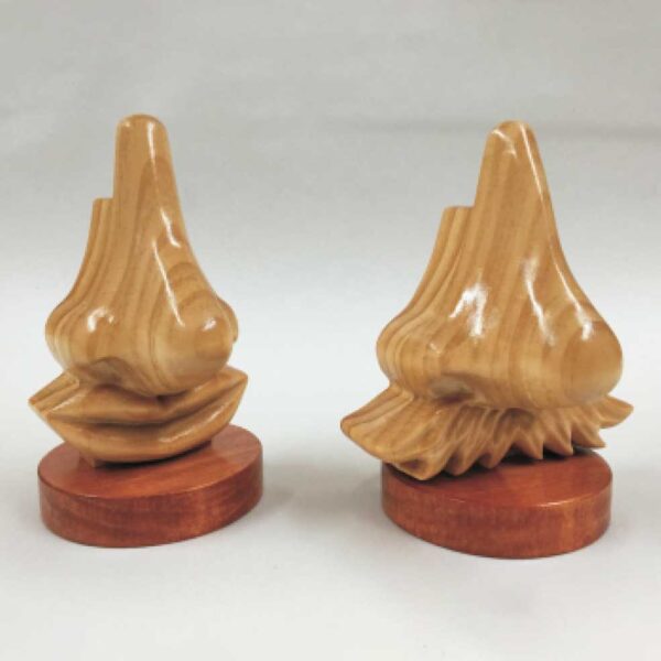 Schnoz Eyeglass Holder - Image 2
