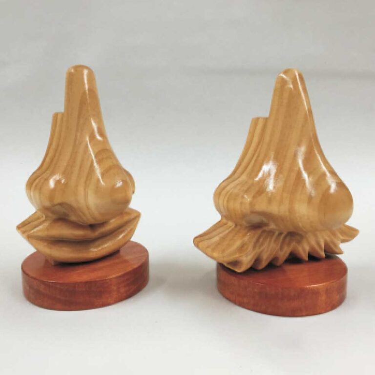 Schnoz Eyeglass Holder - Image 2