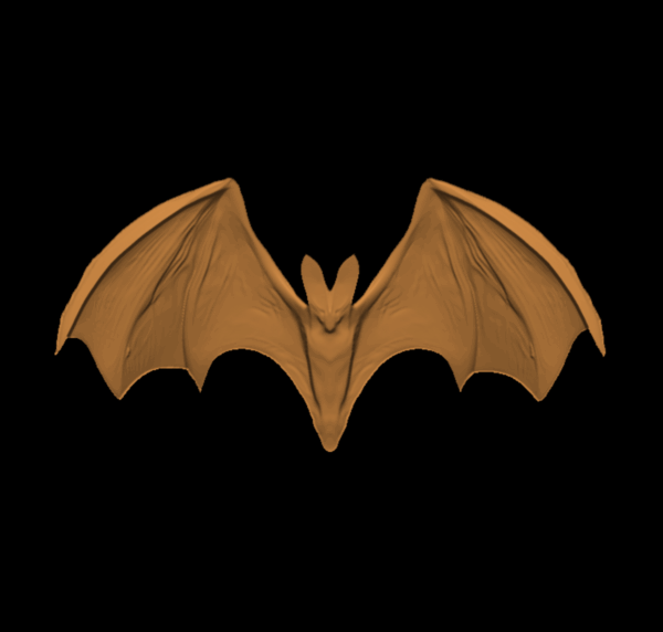 Bat with wings