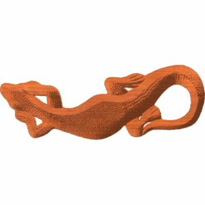 Gecko-217