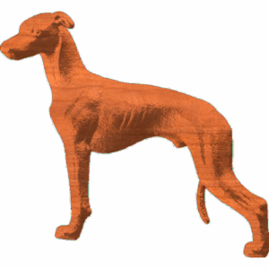 Dog 1