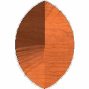 trunk leaf