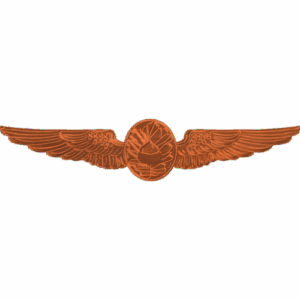 Flight Surgeon