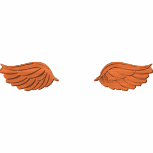 Wings 1