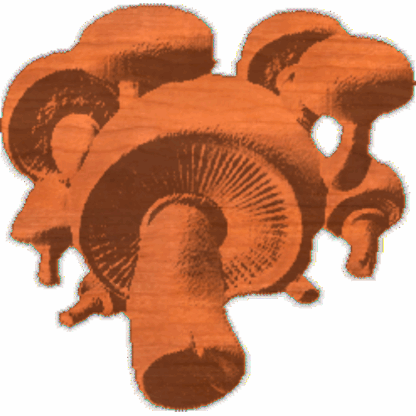 Mushroom