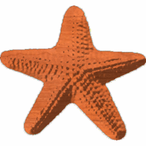 Starfish 213