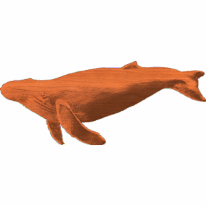 Whale 4x975 - 1