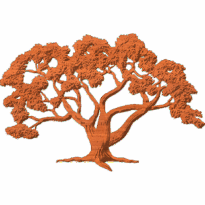 OakTree75x11 1