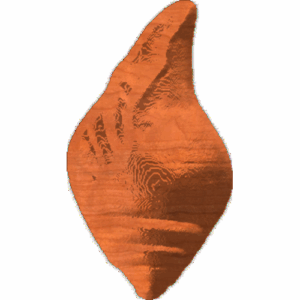 Shell 211