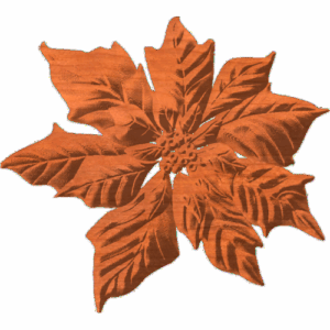Poinsettia5x56 1