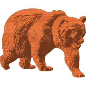 Grizzly Walking 5x6 - 1