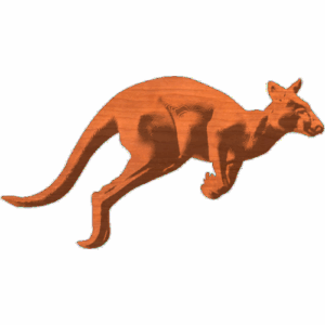 Kangaroo5x27SSF