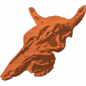 SteerSkull4x55_2