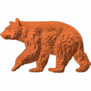 Black_Bear3x5_1