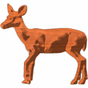 Doe_3x33_1