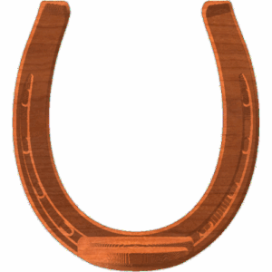 Horseshoe_5x53_1