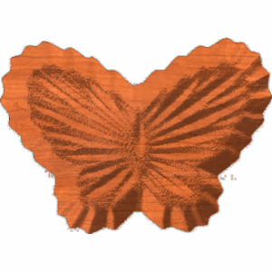 Butterfly Bowl Part 2
