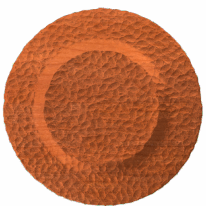 Dish 4