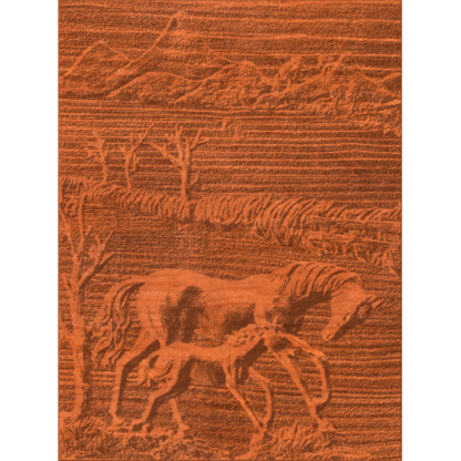 Horse And Colt Scene - 1