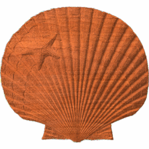 Scallop and Starfish