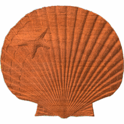 Scallop and Starfish