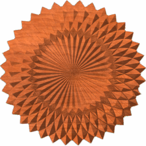Dish 9
