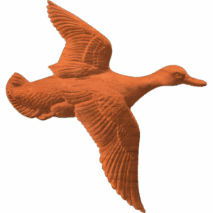 Duck Flying
