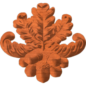 Acorn 156