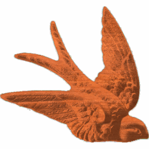 Swallow - 1