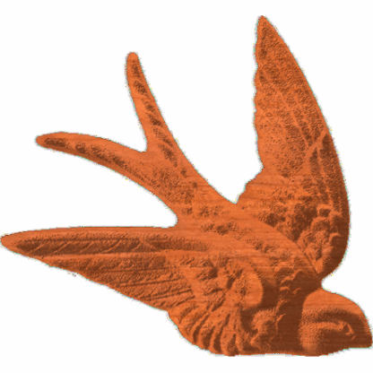 Swallow - 1