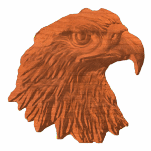 Eagle Head Profile