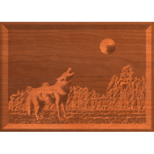 Wolf and Moon