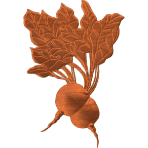 Beets