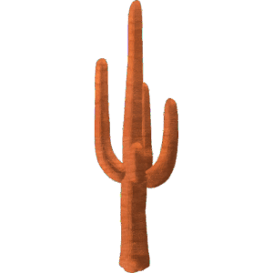 Saguaro Catus