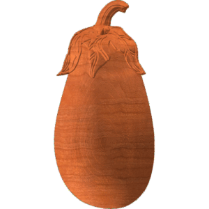 Eggplant fruit
